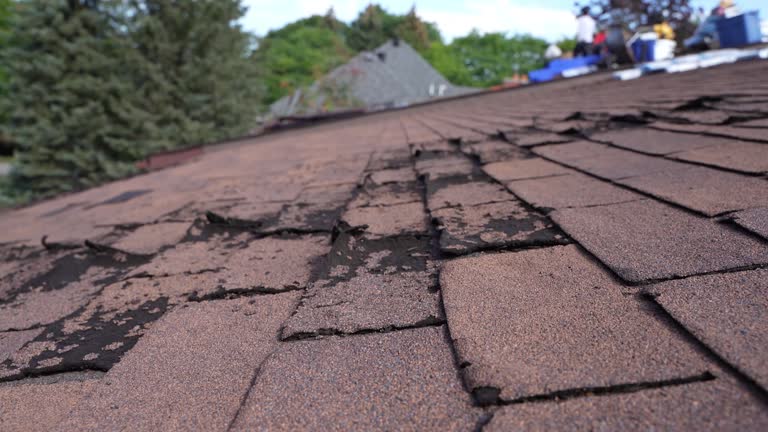 Best Wood Shake Roofing  in Kelseyville, CA